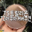 티지티에스 네이버블로그