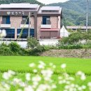 원색명화마을 새전북신문
