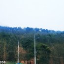 빌라레브 이미지