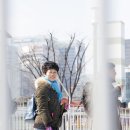 부미
