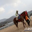 기량축산 이미지