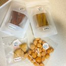 멍청하개 이미지