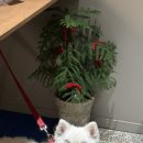 강남대로8길 54 (1) 이미지