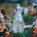 전통주 등 술만들기 이미지