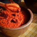 거북이마을 이미지