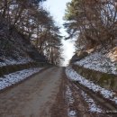 역고개농장 이미지