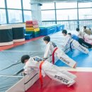 액션 멀티짐 태권도장 이미지