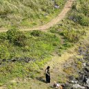 제주감성 이미지