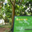 여미지식물원 이미지