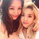 자매뷰티 이미지