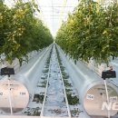 지열농장 이미지