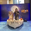 연극 동행 | [공연리뷰] 연극 라이프오브파이 , 박정민 관극 후기 gs아트센터 1층 시야