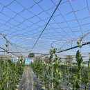 재욱농장 이미지