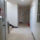 분당-253 이미지