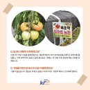 배씨농장 이미지