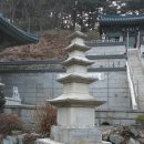마하사 Daum카페