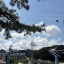 비치모텔 | [울진 숙소 추천] &#34;구산 비치 모텔&#34; 솔직후기 (구산해수욕장 도보 1분)