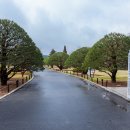 청남대 별장 펜션 이미지