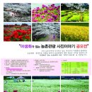 [농림축산식품부/한국농어촌공사] 야생화가 있는 농촌관광 사진/이야기 공모전(~5.30) 이미지