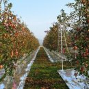 태송농장 이미지