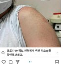 부스터서울