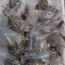 진부초등학교 이미지