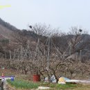 당목경로당 티스토리