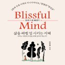 블리스풀