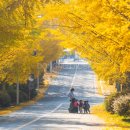 공주교도소부속의원 이미지