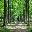 오리 어린이공원 이미지