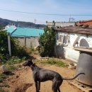 우리집족보 이미지