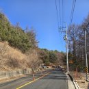 세븐일레븐 울산어음사거리점 | 25년 영남알프스 7봉 인증 고헌산
