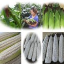 와동농장 이미지