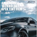 에이펙스틴트 봄맞이 신차썬팅