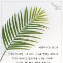 하나님의 교회- 하나님의 백성과 새언약의 유월절 이미지