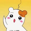 더잘자짐 이미지