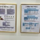 고양이 무마취미용&호텔 무냥무냥 부산서면점 이미지