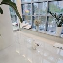 쁘띠애견미용실 이미지