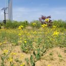 전천시민공원 이미지