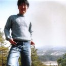 필현 Daum카페