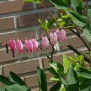 칠보중학교 이미지