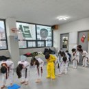 국가대표탑태권도장 이미지