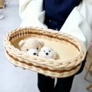 (12/14)라탄 트레이 만들기 | 고양시 화정역 라탄트레이 만들기 원데이클래스 소코라코공방