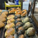 대전 빵지순례로 강추! 둔산동 다람당 방문 후기🐿