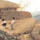 행복을주는닭 이미지