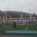 민속운동장 Daum카페
