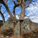 천반산길 이미지