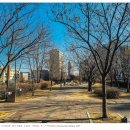 대구선반야월공원(괴전동) | [탐방] 대구선반야월공원