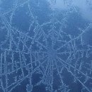 해운대시장 이미지