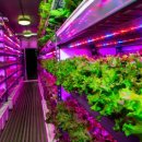 중동농장 이미지